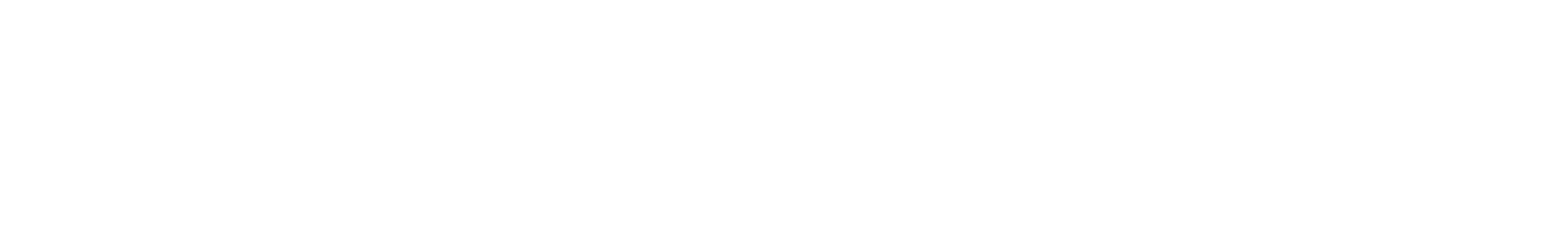 Monetizee Logo